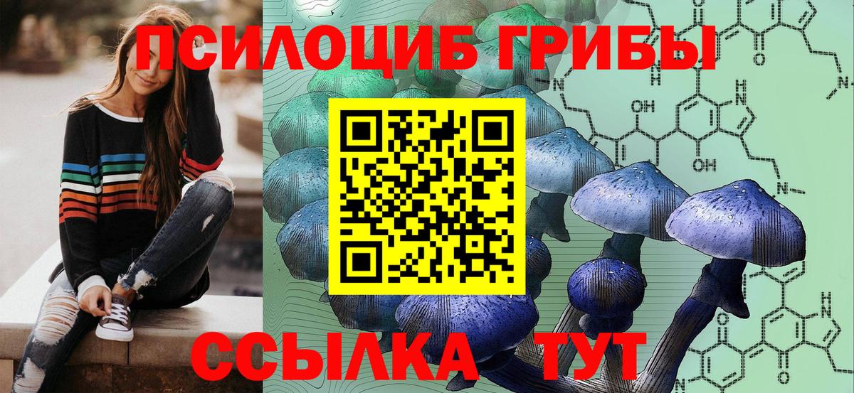 Псилоцибиновые грибы мицелий  Псилоцибиновые грибы мухоморы  Долгопрудный  Вход с VPN 