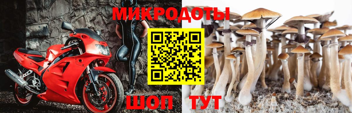 Галлюциногенные грибы ЛСД Долгопрудный